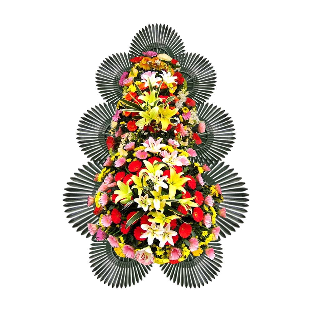 42757d16f483af6e170355628459d1c8_1726198443_7167.jpg